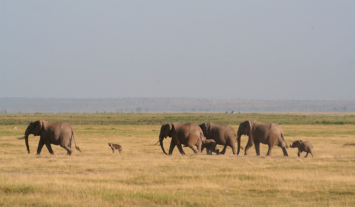 Kenya
