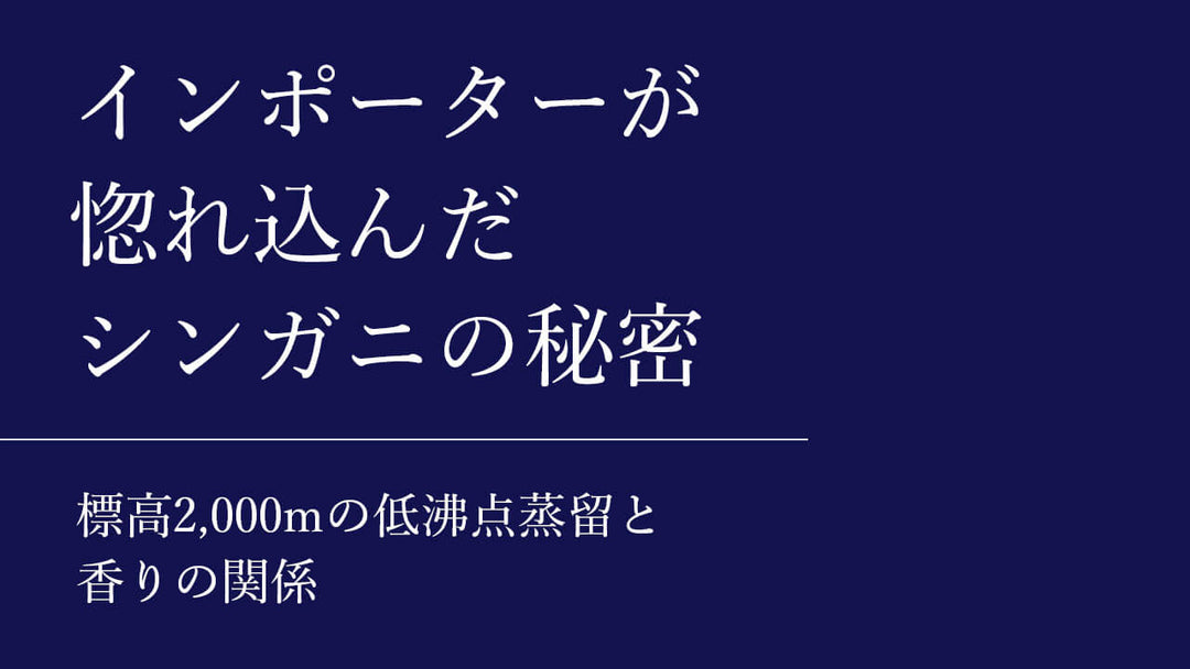 インポーターが惚れ込んだ、シンガニの秘密