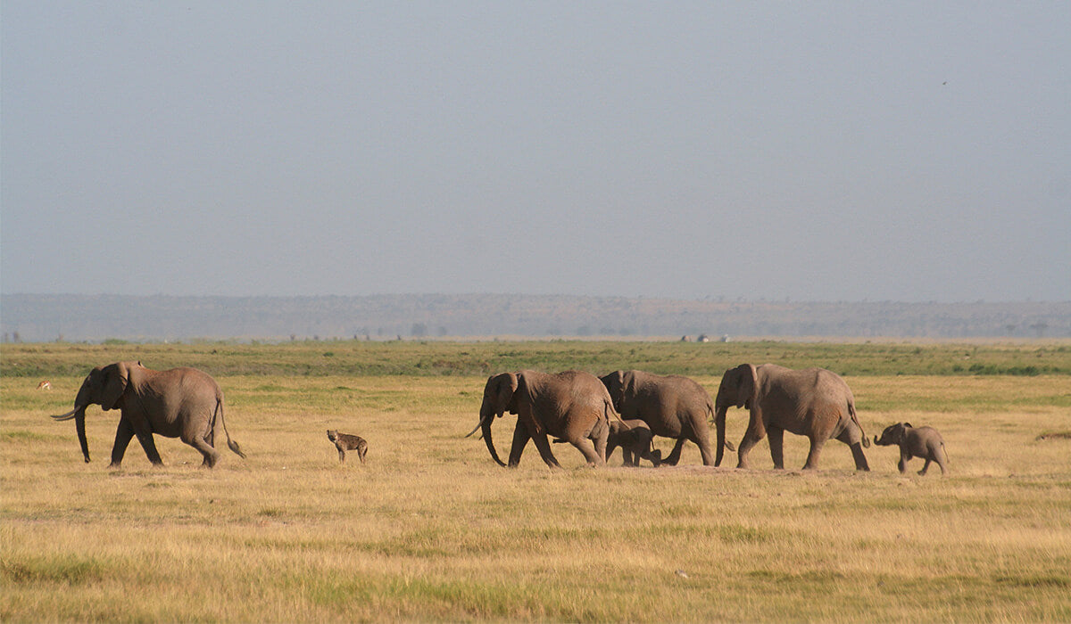 Kenya