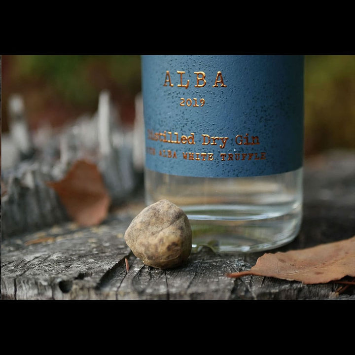 ウルフレストジン アルバ